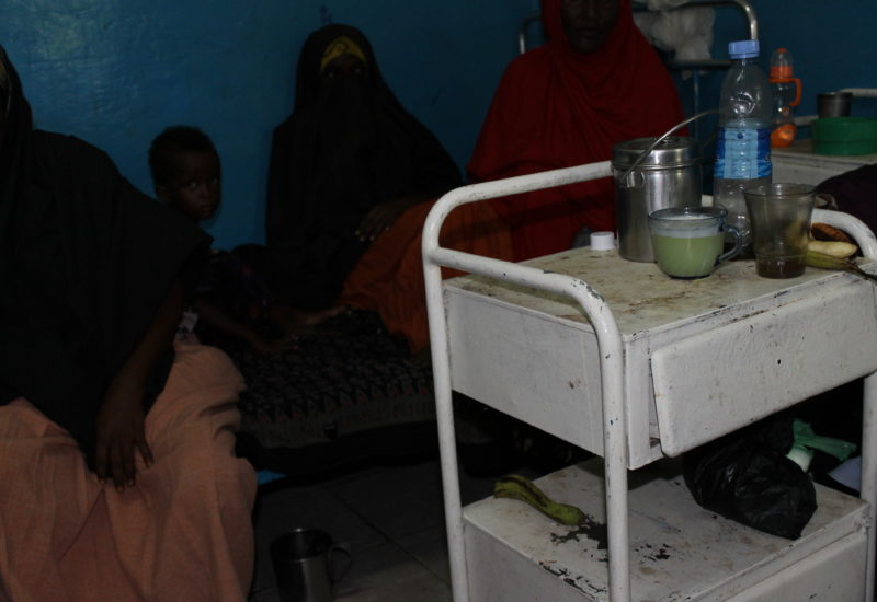 Help Somali Organisation, Img 0639
